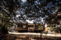 Refugio Austral Coigües en Corralco - B&B Malalcahuello