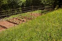 La perla nella foresta - Bed and Breakfast Vara Superiore