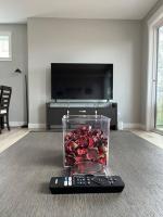 Ocean View Oasis - B&B Campbell River