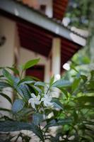 Single Room with Private Bathroom