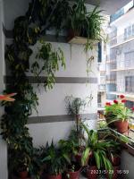 Holiday apartment Shengjin - Bed and Breakfast Shëngjin