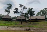 Ayahuasca Eco Tours - B&B Iquitos