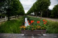 de minnetuin - B&B