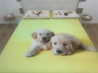 Rosa House - Bed and Breakfast Bologna