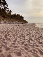 Appartamento Monolocale