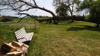 Cosy Farmhouse Glamping - B&B Stege