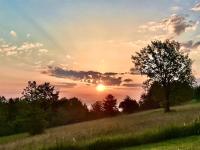 « Le Vieux Hangar » gîte à la ferme - B&B Truffe