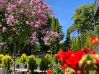 Apartamenty Arkadia przy Amfiteatrze - Chambres d'hôtes Mrągowo