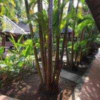 Captain Chim's Guest House - B&B