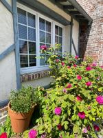 Double Room with Park View