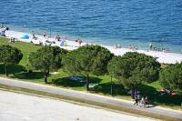 Apartma Pingo - B&B