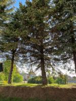 Apartament Pod Świerkiem - Chambres d’hôtes Jastrzębia Góra