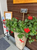 Haus Sonnleitner Studio Rittisberg - B&B