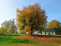 Buczylas Siedlisko - Chambres d’hôtes Tuchomie