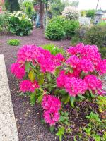 Doppelzimmer mit Gemeinschaftsbad