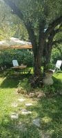 Reginella al mare - B&B Policastro Bussentino