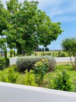 Apartment with Garden View