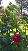 Valleverde Apartment - B&B Caraglio