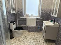 Habitación Doble Deluxe (2 adultos + 1 niño) 
