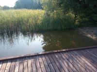 Zalesie z pomostem I - B&B Barczewo
