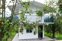 Finca Peradise - Nuevo Colón - B&B Nuevo Colón