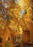 3-bedroom Condo near Lake,Hyatt,Diamond Peak - B&B Incline Village