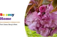 So Cosy Home Paris-Sceaux/Bourg-la-Reine. - Ferienwohnung Sceaux