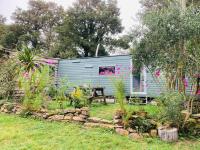 B&B Helston - Olive's Cabin - Bed and Breakfast Helston