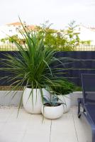 Blue Shell Trogir Apartment - B&B