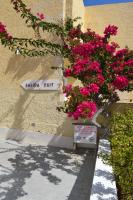 Dream Holiday Las Americas - Ferienwohnung Las Américas