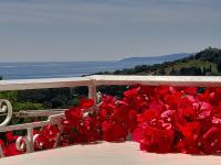 Angelos apartment's - B&B Arillas