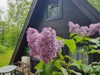 Ferienhaus Marie 125 - B&B Bad Arolsen