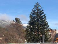 DEPARTAMENTOS Silvia - Bed and Breakfast San Martín de los Andes