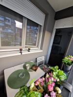 Apartman Astra - B&B Sremska Mitrovica