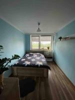 Apartament przy Parku Śląskim - B&B