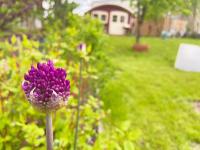Ferienhaus Herger - B&B Niendorf