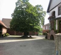 B&B Hameln - Ferienwohnung Lindenhof - Bed and Breakfast Hameln