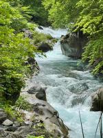 森のうた Morinouta Forest Stay in Nikko - B&B Nikkō