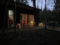 Miško sielos namelis su pirtele - Bed and Breakfast Aukštelkė