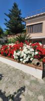 Villa Cristina - De Vivo Realty Piano di Sorrento - Ferienwohnung Piano di Sorrento