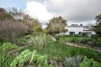 Contreberg Manor House - Ferienwohnung Darling