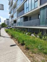 Grey Diamond - Chambres d’hôtes Târgu Mureş