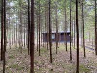 Miško sielos namelis su pirtele - B&B Aukštelkė