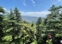 B&B Shimla - Deodar Heights - Bed and Breakfast Shimla
