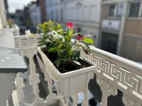 Appartement de charme en plein coeur de Rouen - Ferienwohnung