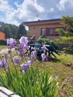 B&B Valgiano - Chalet Grazia - Bed and Breakfast Valgiano