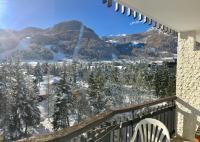Studio with Mountain View