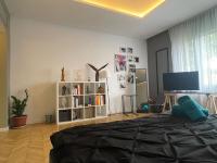 NEW Opera Studio Old City Center Self Check in - B&B Timişoara