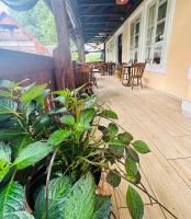 Rooms Murka - B&B Bled