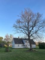 Katrina Summer House - B&B